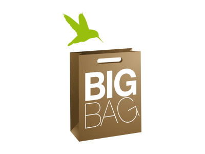 Logo Bigbag